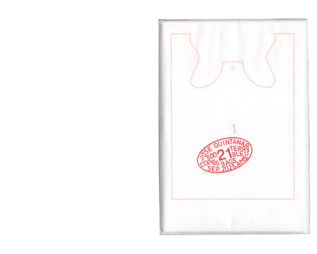 21 bags