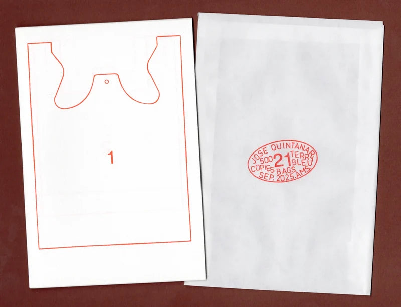 21 bags interior