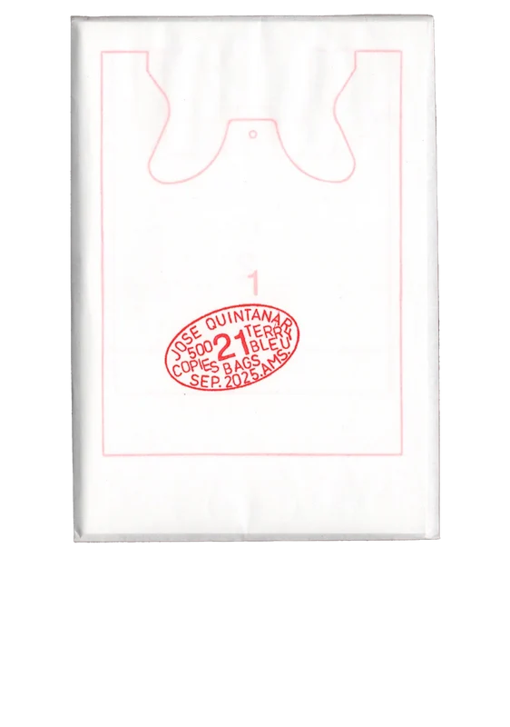 21 bags cover