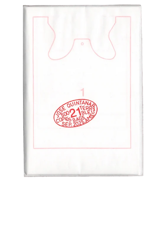 21 bags cover