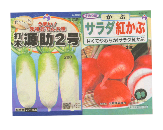 Seeds