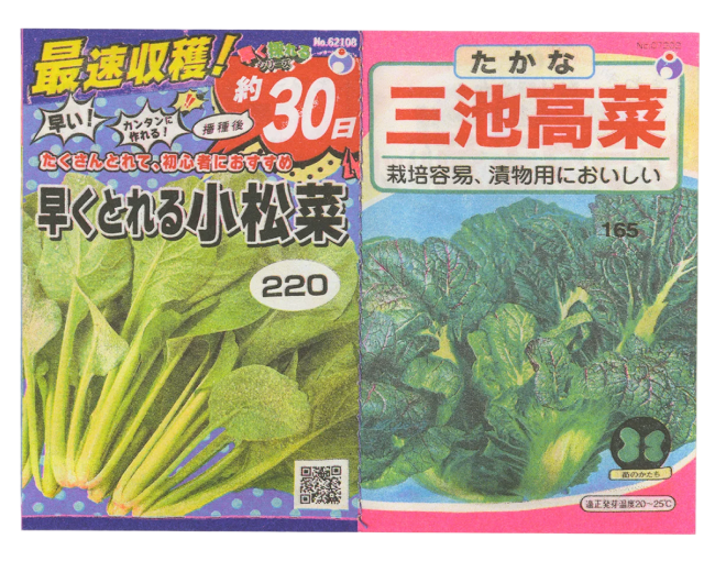 Seeds